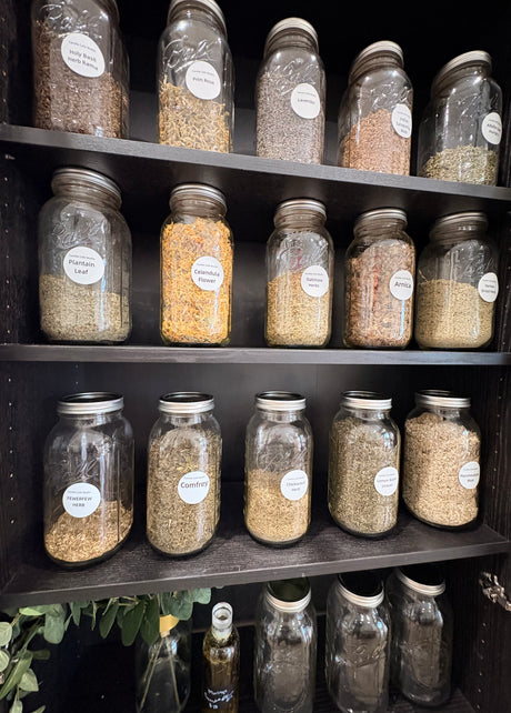 Botanical Recovery Collection