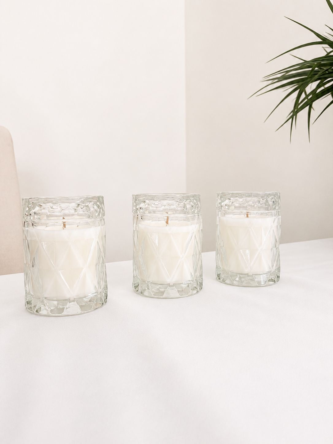 Limited Edition | Cashmere Amber Luxury Candle